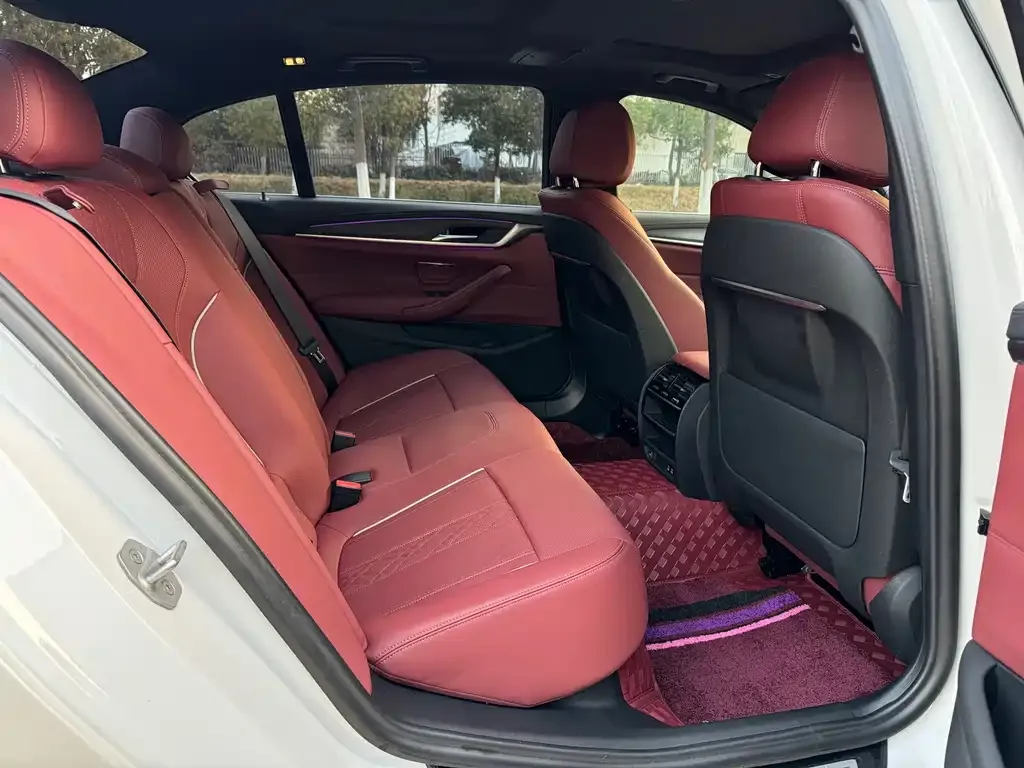 BMW 5 Series 2023 из CN, фото 6