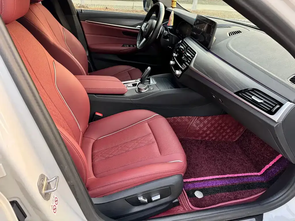 BMW 5 Series 2023 из CN, фото 5