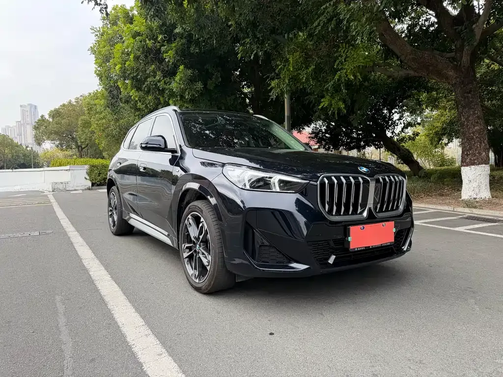 BMW X1 2024 из CN, фото 5