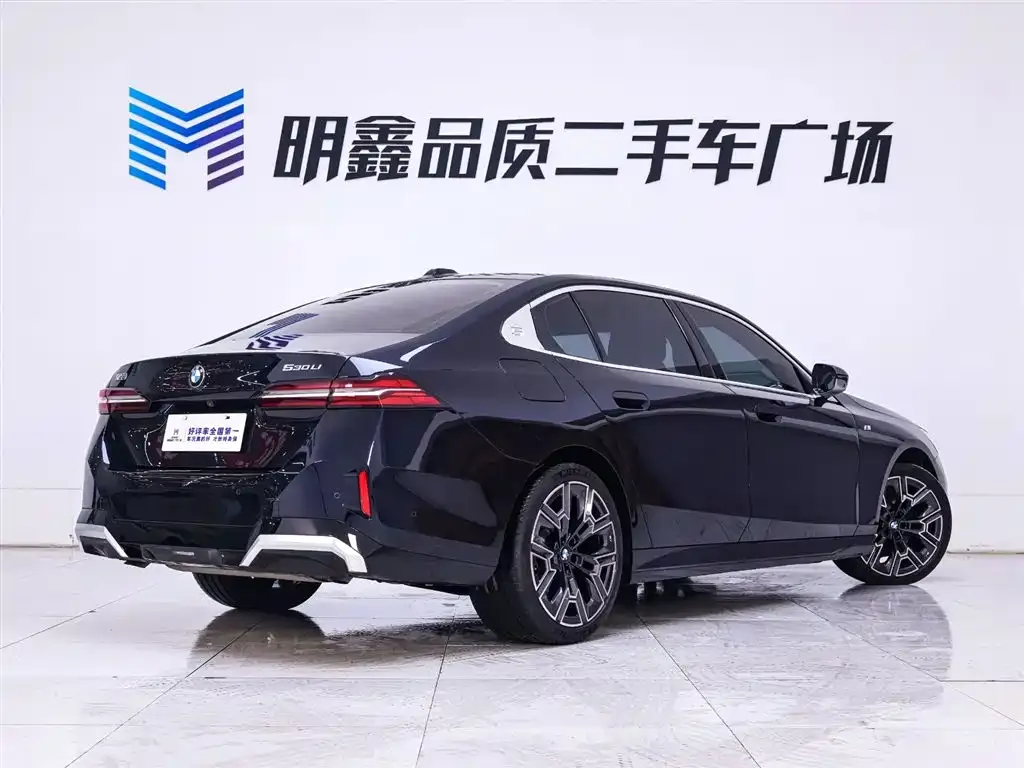 BMW 5 Series 2025 из CN, фото 5
