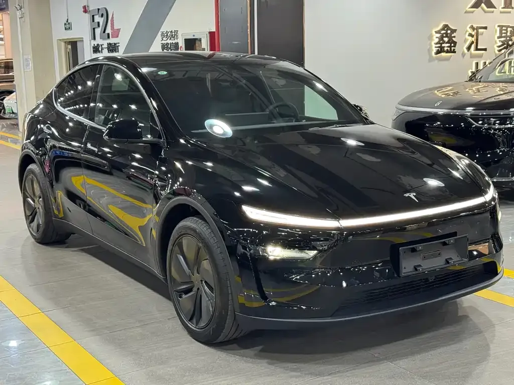 Tesla Model Y — фото 2