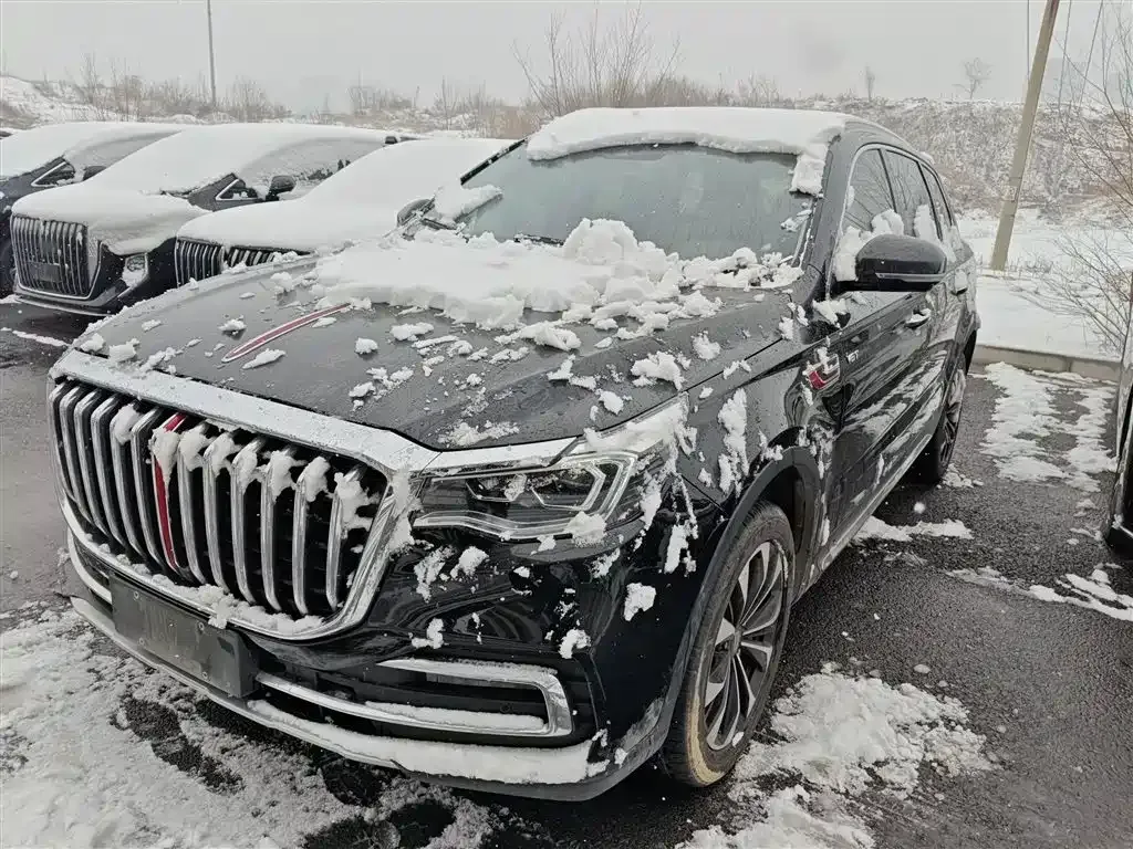 Hongqi HS7 2023 из CN, фото 9