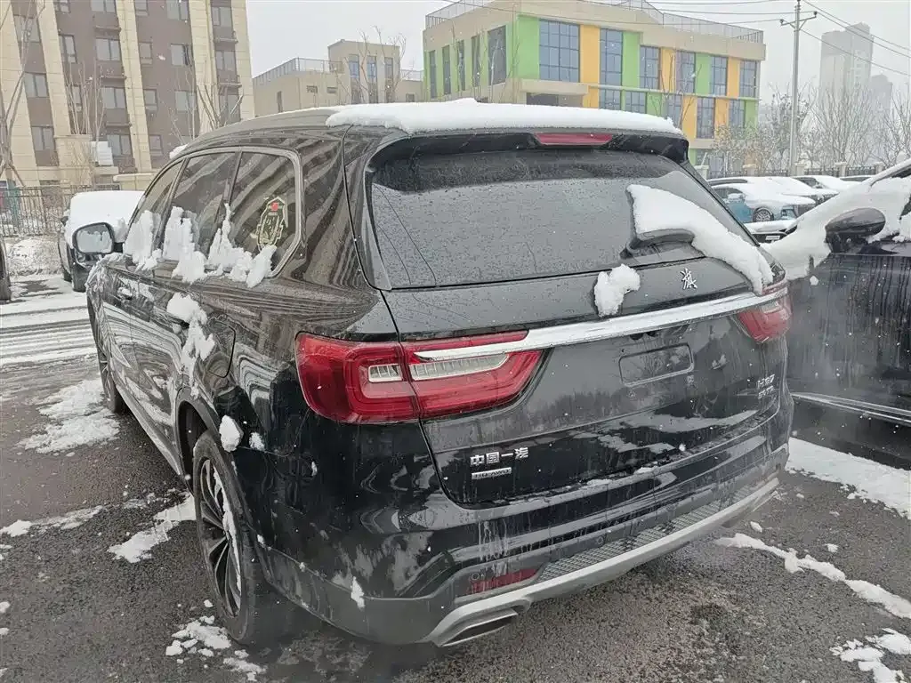 Hongqi HS7 2023 из CN, фото 8