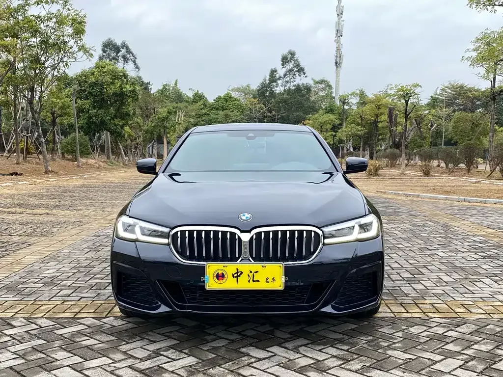BMW 5 Series 2024 из CN, фото 9