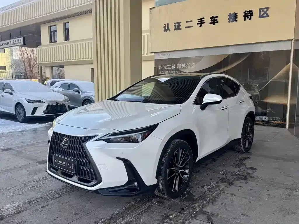 Lexus NX 2021 из CN, фото 1