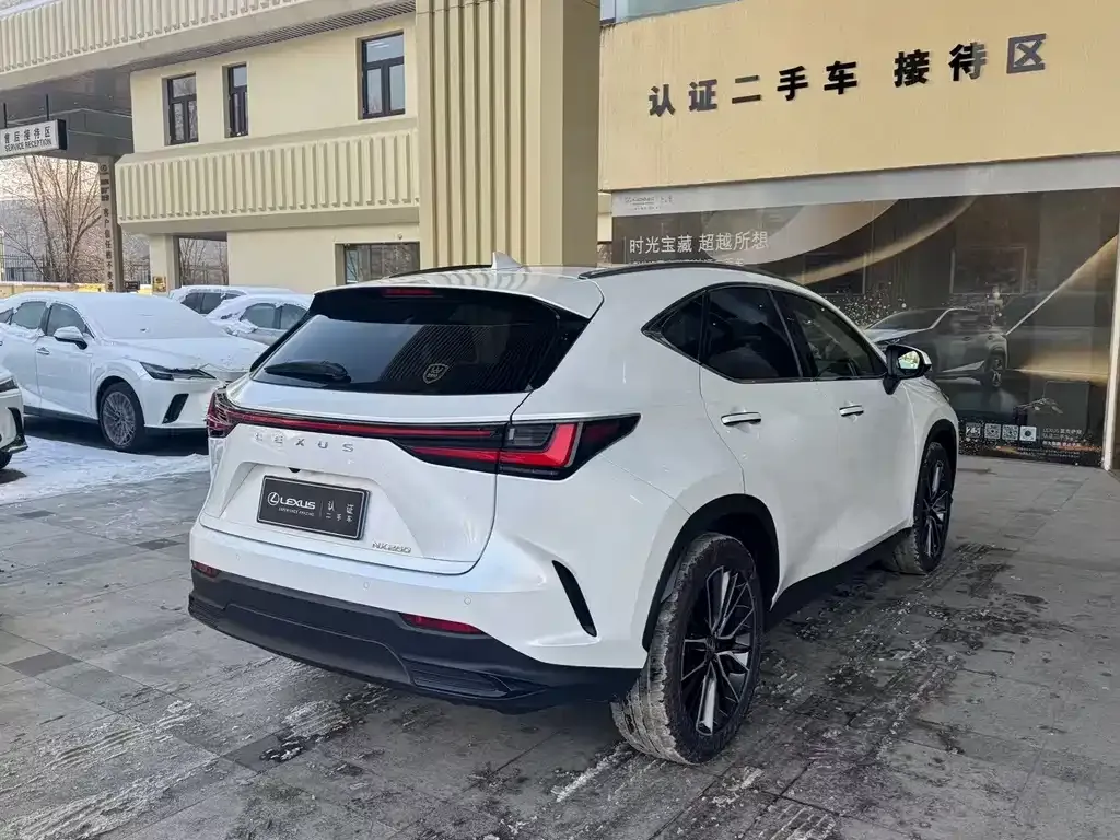 Lexus NX 2021 из CN, фото 10