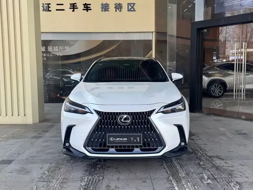 Lexus NX 2021 из CN, фото 9