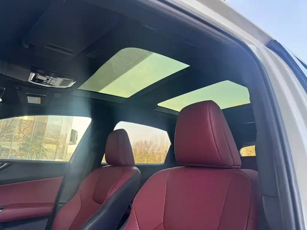 Lexus NX 2021 из CN, фото 5