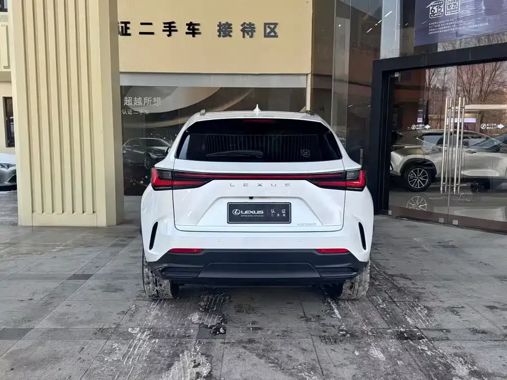 Lexus NX 2021 из CN, фото 6