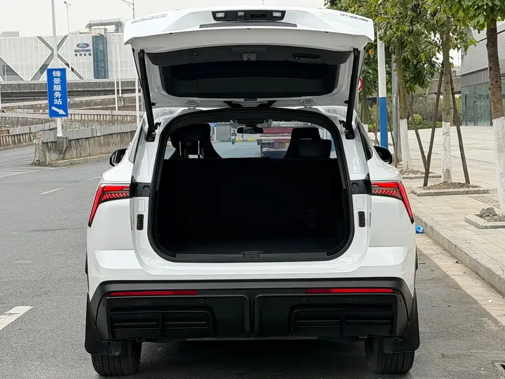 Jetour Dasheng i-DM 2024 из CN, фото 5