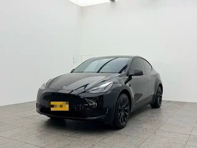 Tesla Model Y 2023 из CN, фото 1