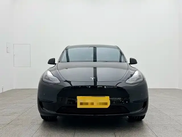Tesla Model Y 2023 из CN, фото 3