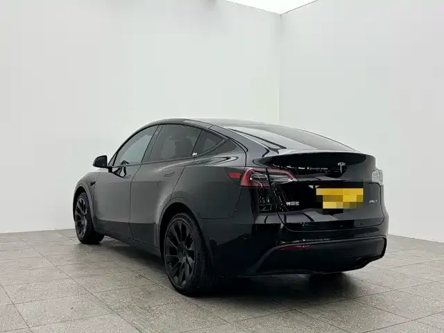 Tesla Model Y 2023 из CN, фото 10
