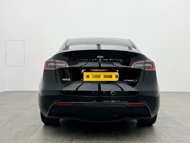 Tesla Model Y 2023 из CN, фото 9