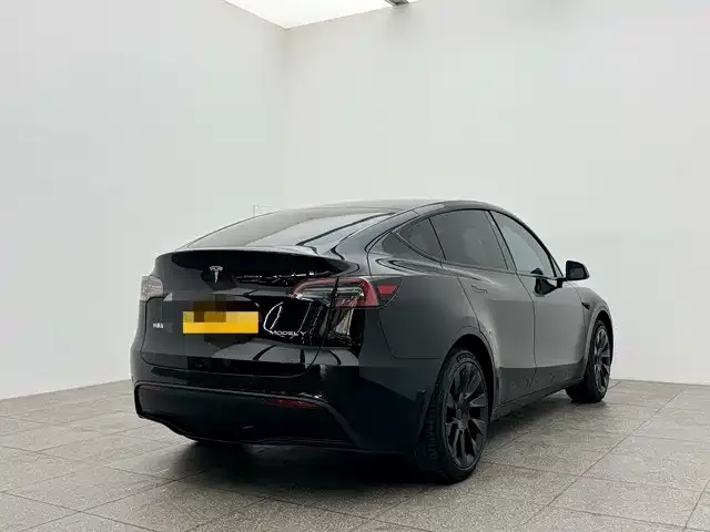 Tesla Model Y 2023 из CN, фото 5