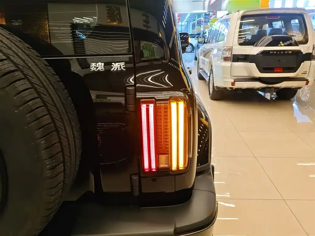 Tank 300 2022 из CN, фото 5