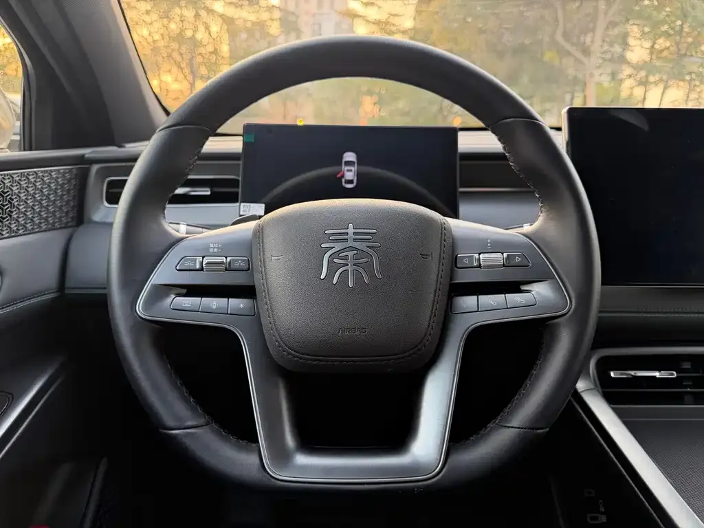 BYD Qin PLUS 2025 из CN, фото 2