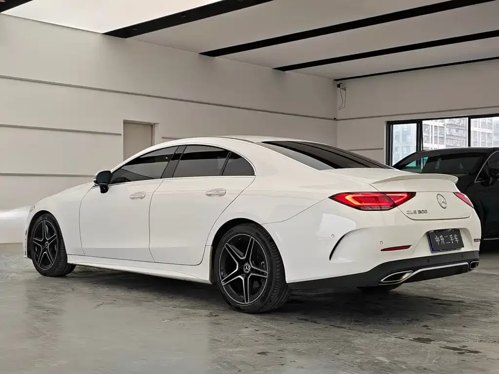 Mercedes-Benz CLS 2021 из CN, фото 9