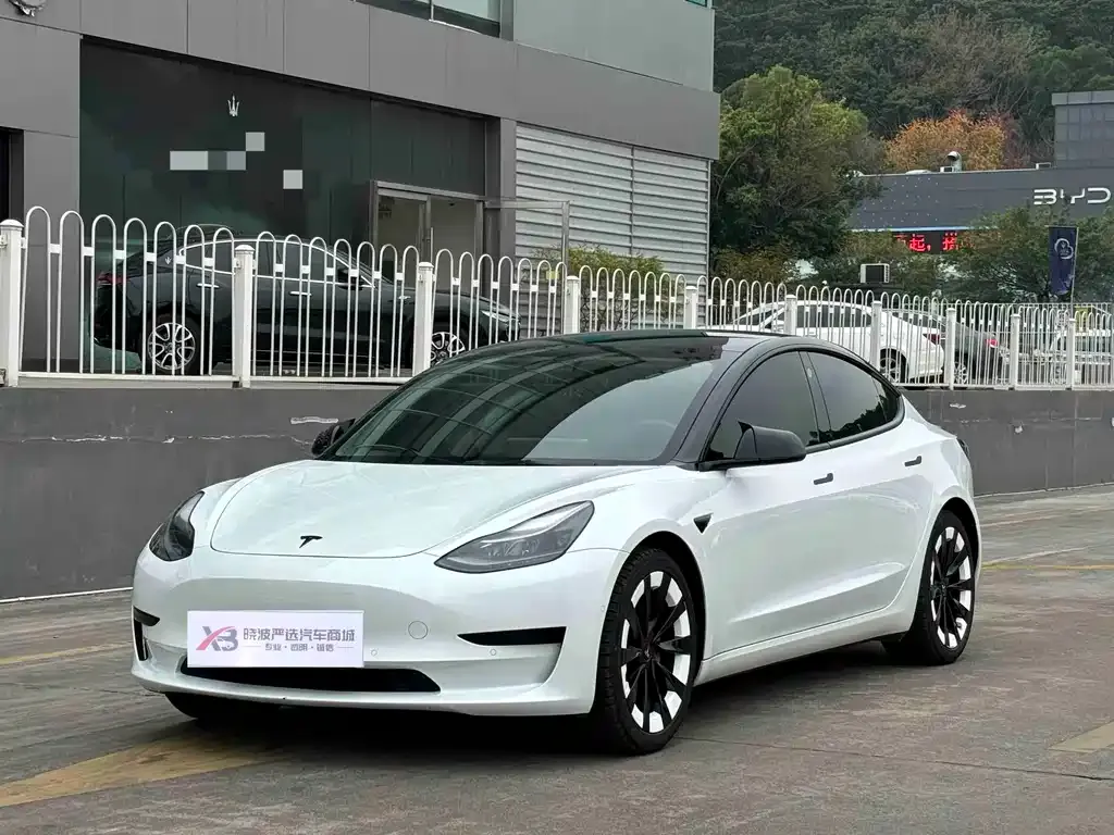 Tesla Model 3 2021 из CN, фото 1