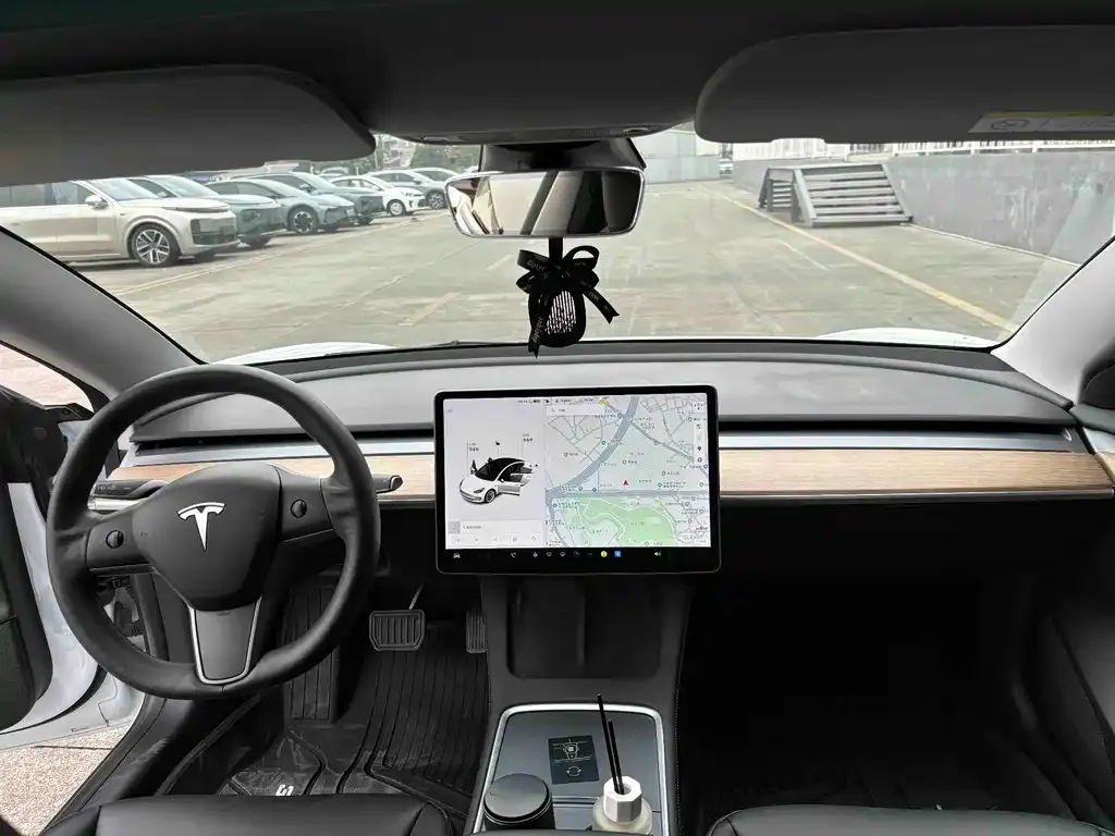 Tesla Model 3 2021 из CN, фото 6