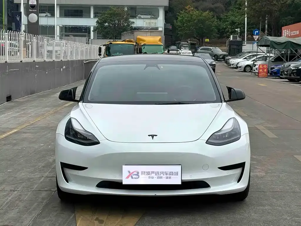 Tesla Model 3 2021 из CN, фото 7