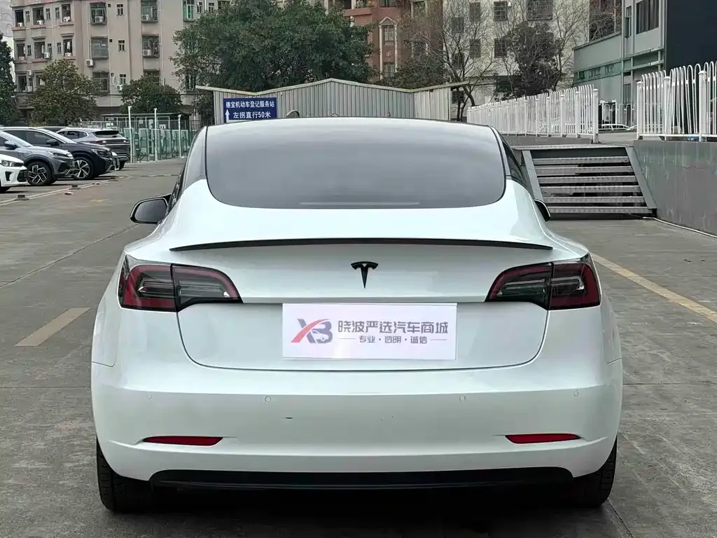 Tesla Model 3 2021 из CN, фото 4