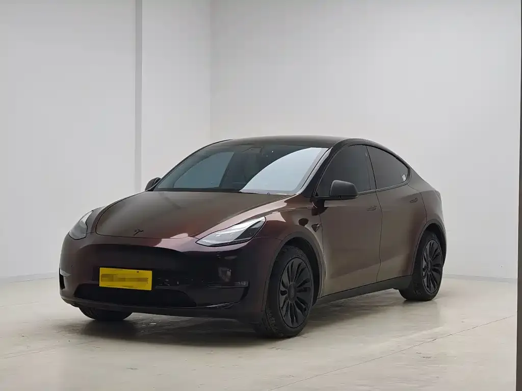Tesla Model Y 2021 из CN, фото 1