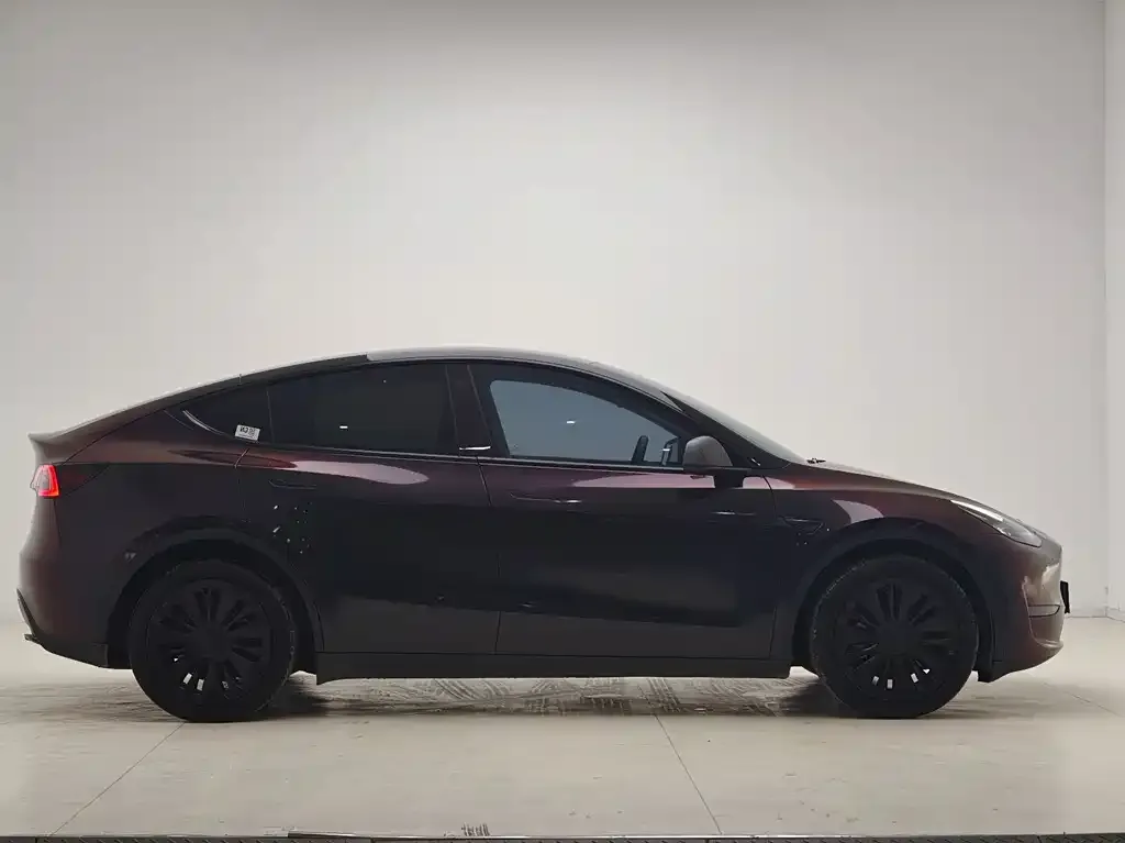 Tesla Model Y 2021 из CN, фото 5