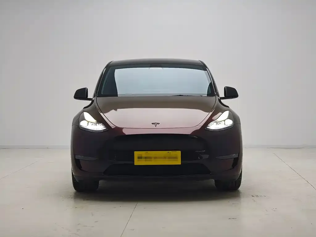 Tesla Model Y 2021 из CN, фото 3