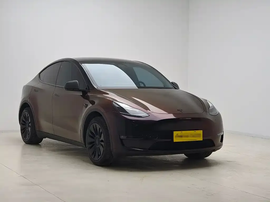 Tesla Model Y 2021 из CN, фото 7