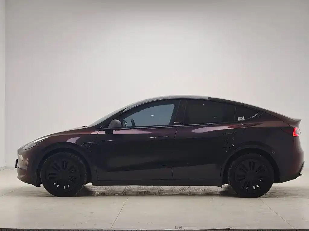 Tesla Model Y 2021 из CN, фото 4