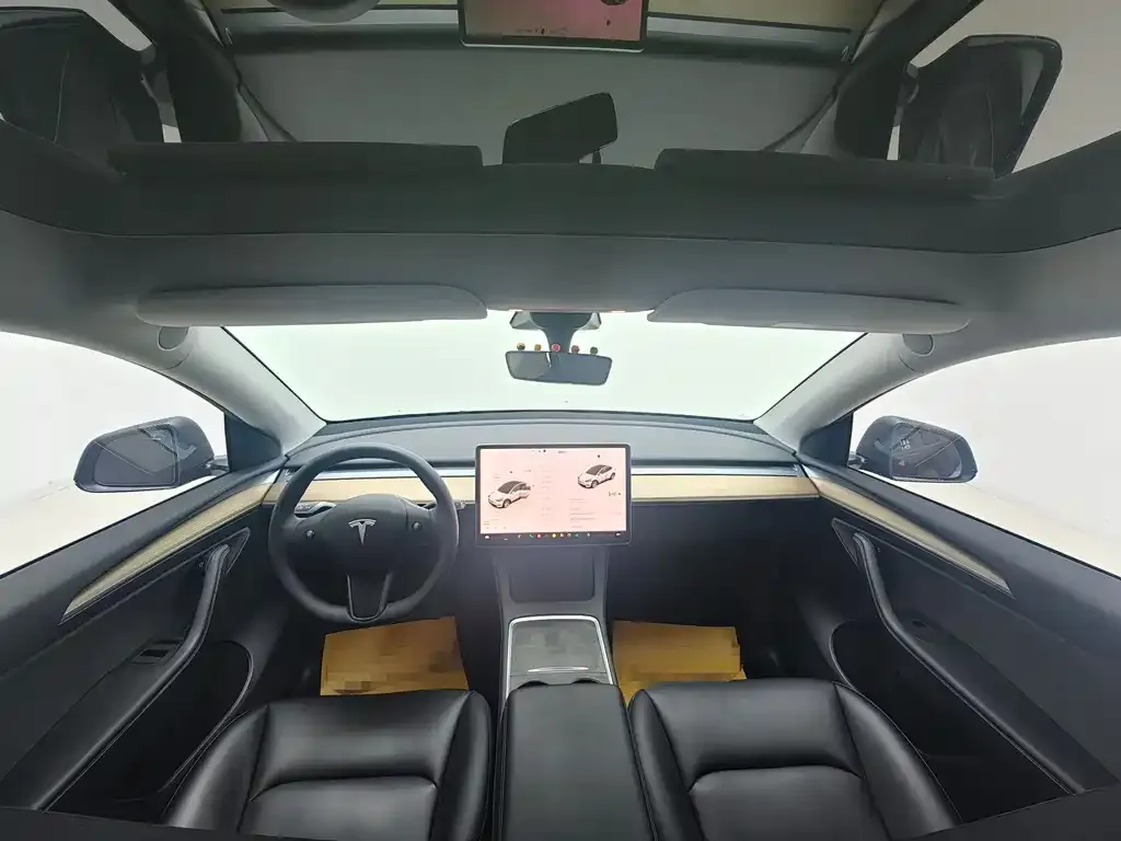 Tesla Model Y 2021 из CN, фото 10
