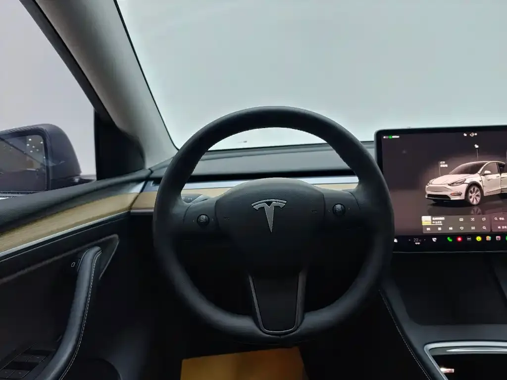 Tesla Model Y 2021 из CN, фото 8