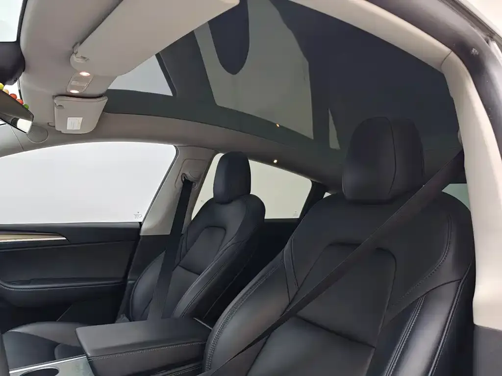 Tesla Model Y 2021 из CN, фото 2