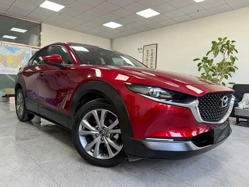 Mazda CX-30 2022 из CN, фото 4