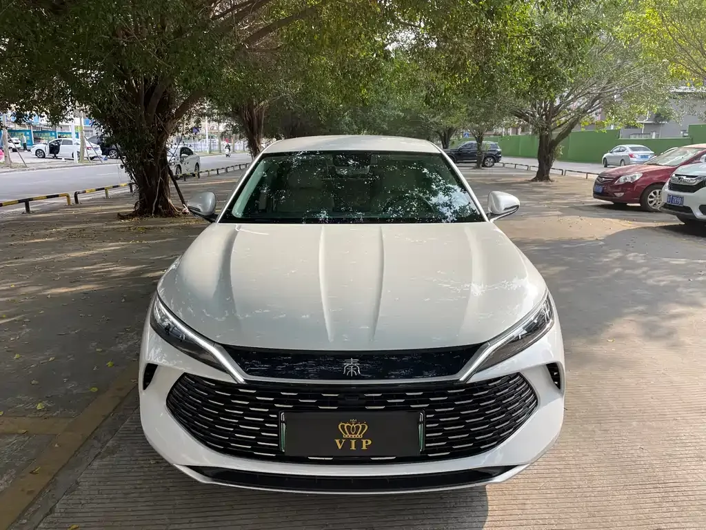 BYD Qin L 2024 из CN, фото 6