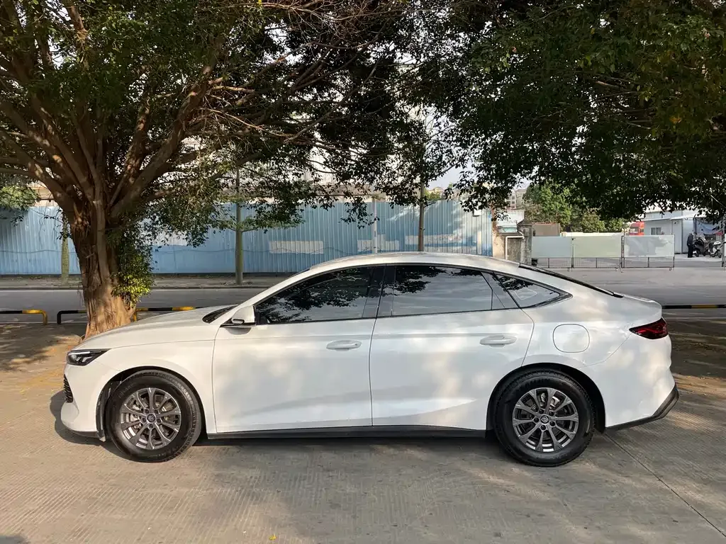 BYD Qin L 2024 из CN, фото 10
