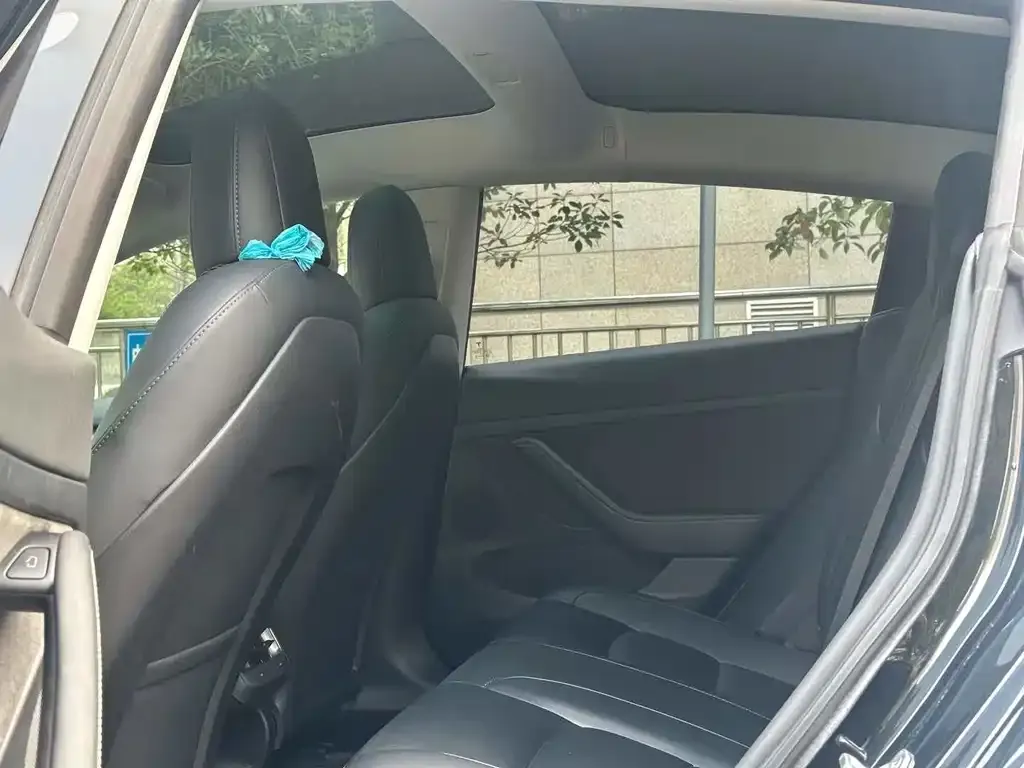 Tesla Model 3 2023 из CN, фото 4