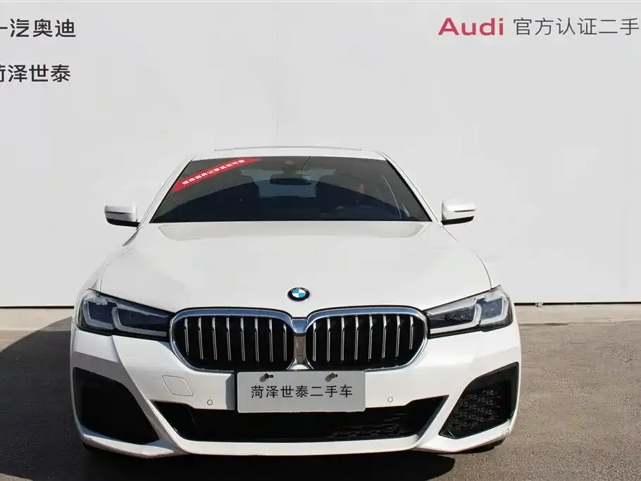 BMW 5 Series 2022 из CN, фото 2