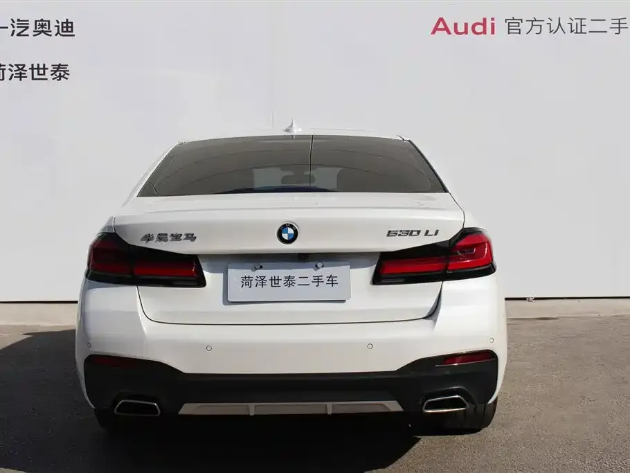 BMW 5 Series 2022 из CN, фото 3
