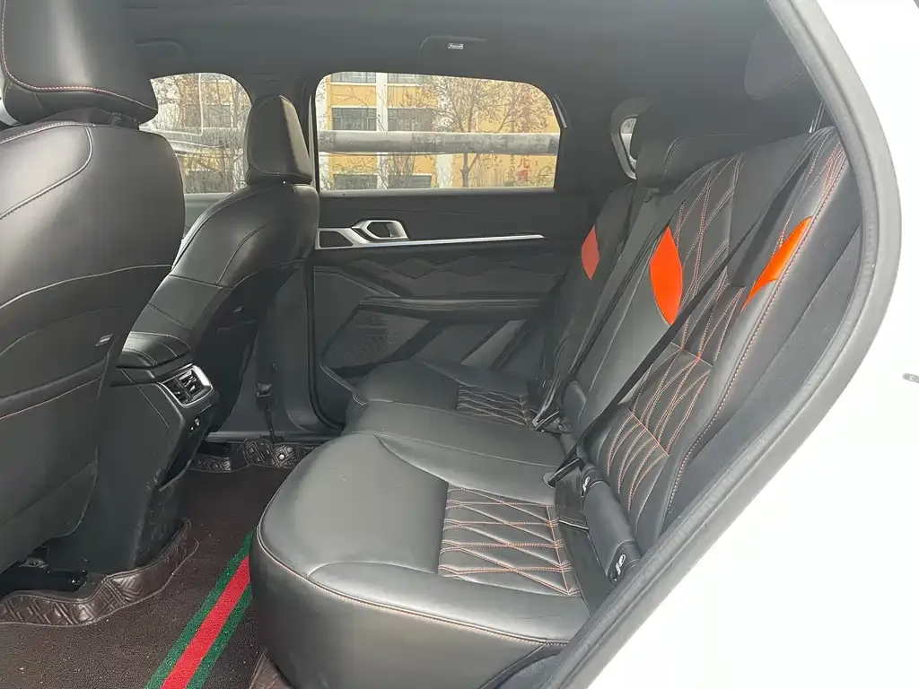 Haval Shenshou 2022 из CN, фото 3
