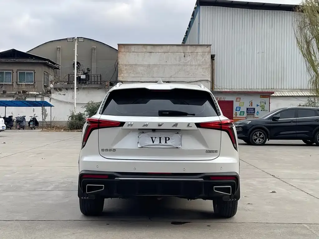 Haval Shenshou 2022 из CN, фото 2