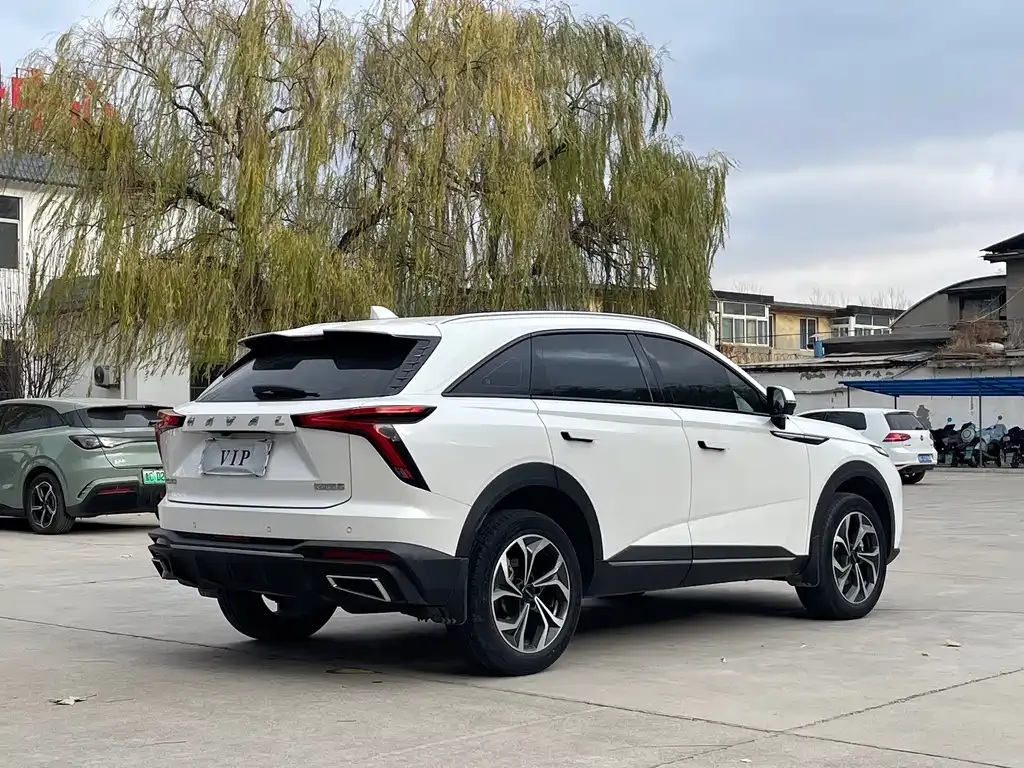 Haval Shenshou 2022 из CN, фото 7