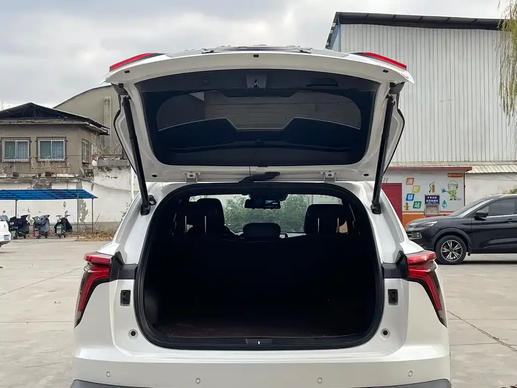 Haval Shenshou 2022 из CN, фото 4