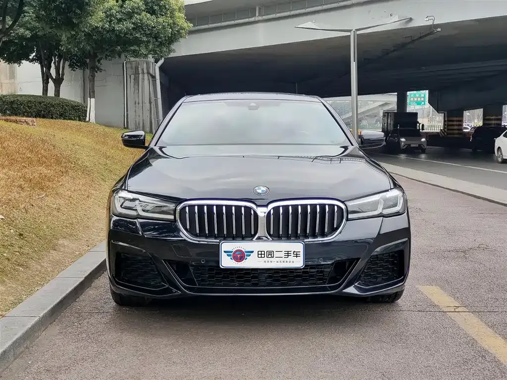 BMW 5 Series 2023 из CN, фото 8