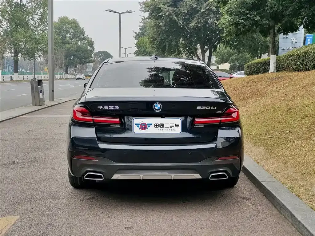 BMW 5 Series 2023 из CN, фото 6