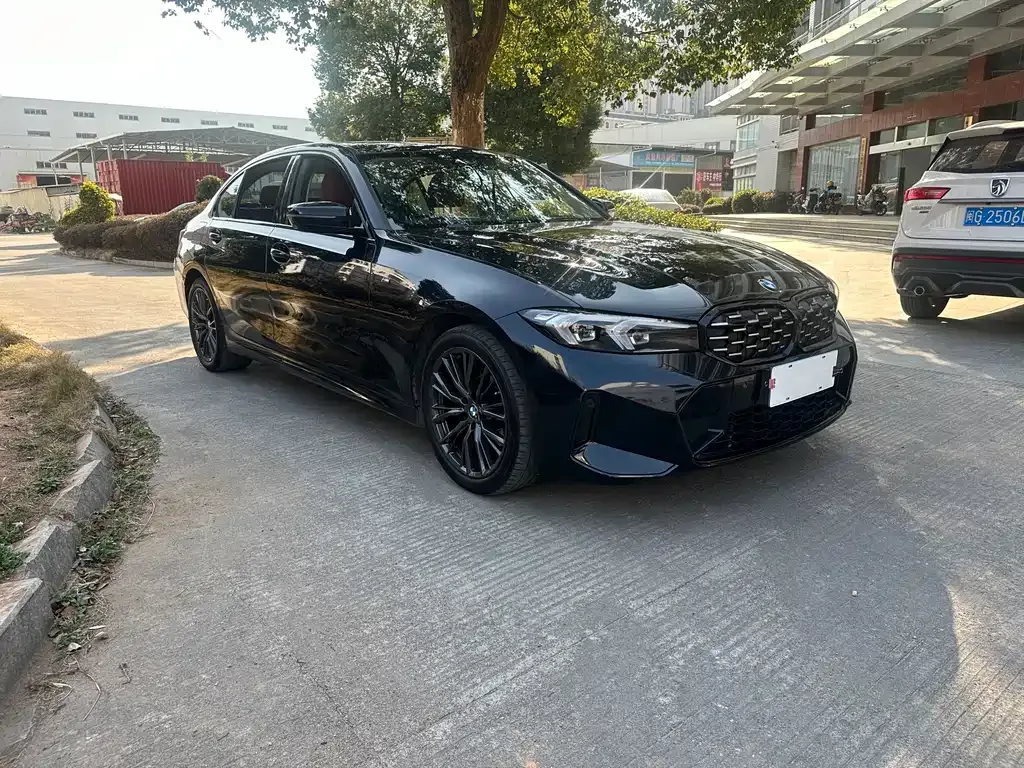 BMW 3 Series 2022 из CN, фото 5