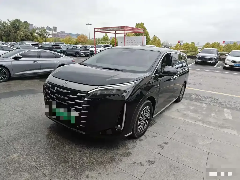 BYD Xia 2025 из CN, фото 1