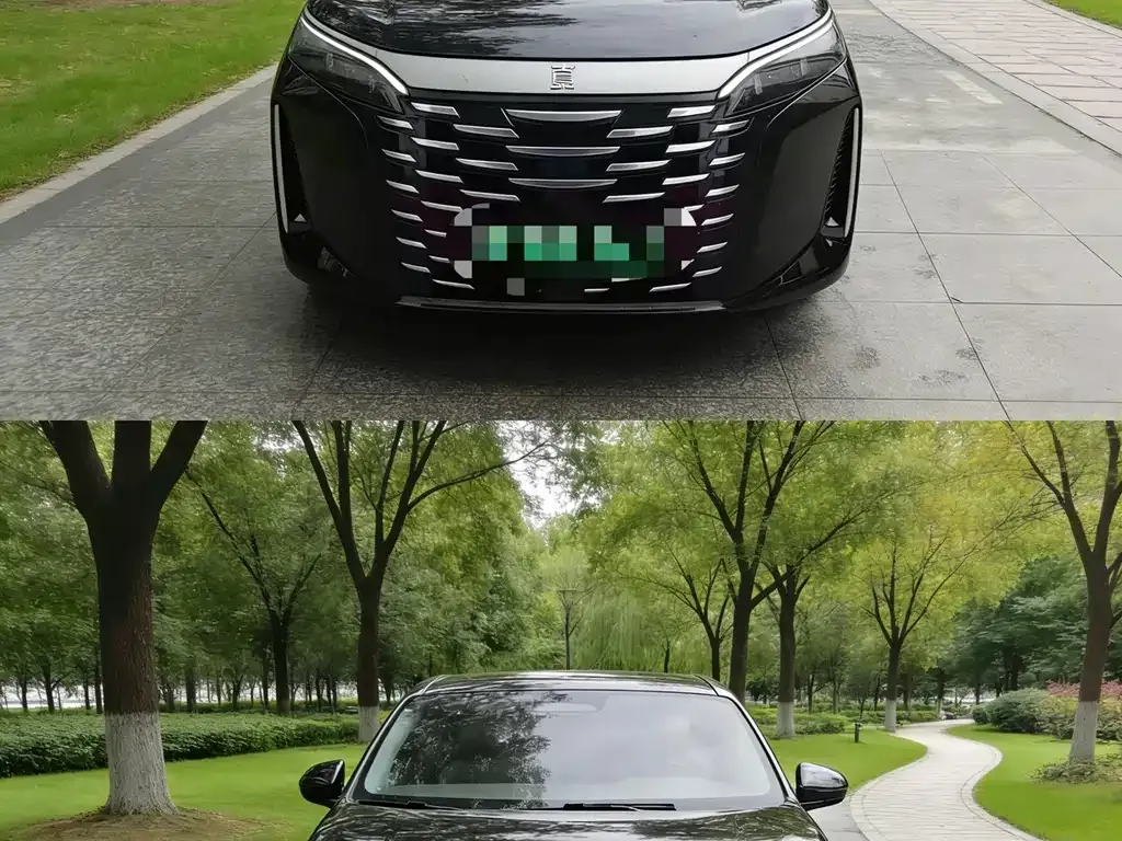 BYD Xia 2025 из CN, фото 2