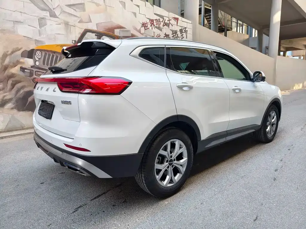 Haval H6 — фото 8
